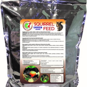 SQUIRRELLFEED